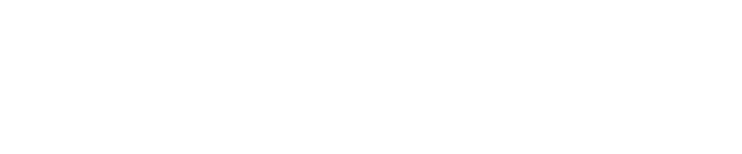 成功のポイント
